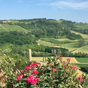 Large Secluded Villa, Fabulous Countryside Views, Beautiful Piedmonte Landscape Castelnuovo Belbo Exterior photo