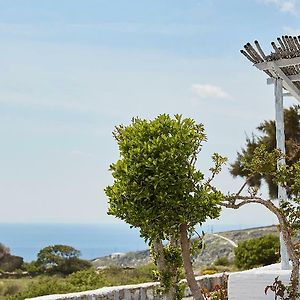 Agnanti Andros Hotel Agia Eleousa Exterior photo