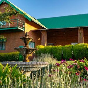 Olive Tree Farm Bed & Breakfast Magaliesburg Exterior photo