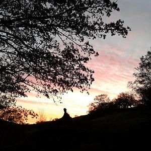 Fedw Farm Bed & Breakfast Llandrindod Wells Exterior photo