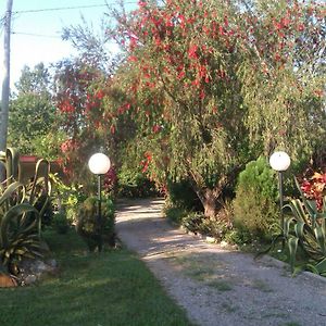 Casa Los Sauces Hotel Soroa Exterior photo