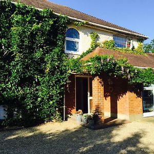 Stapehill Lodge B&B Hampreston Exterior photo