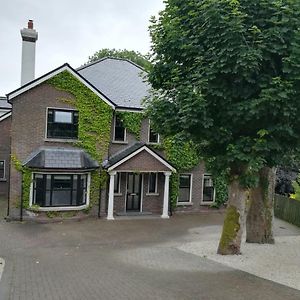 Ivy House Apartment Galway Exterior photo