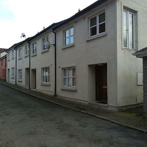 Townhouse 4 Barrow Lane Villa Carlow Exterior photo