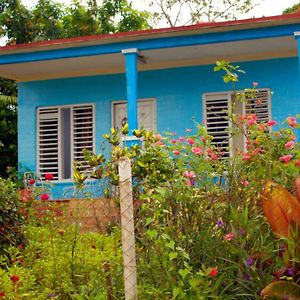 Villa Mario Y Ada Vinales Exterior photo