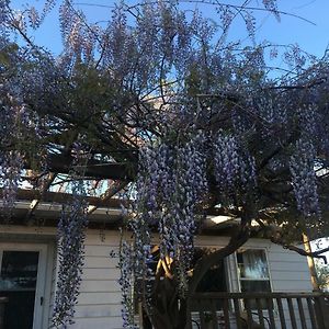 Wisteria Vine Cottage Monticello Exterior photo