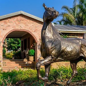 Maretlwane Guesthouse Buffelspoort Exterior photo