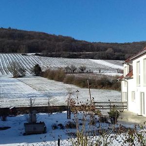 Aux Vignes Bed & Breakfast Wissembourg Exterior photo