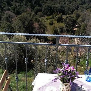 Stellaria Casa Vacanze In Montagna Panorama Stupendo Sardegna Seulo Exterior photo