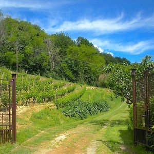 Cascina Tra I Vigneti A Nizza Monferrato Villa Exterior photo