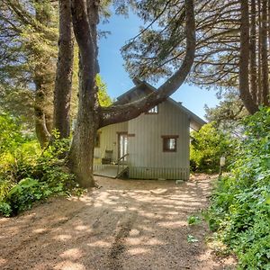 Rocks Cabin Villa Copalis Beach Exterior photo