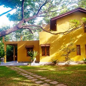 Raintree Hotel Dambulla Exterior photo