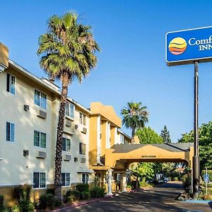 Comfort Inn Modesto Exterior photo