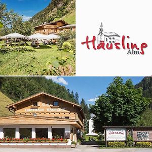 Gasthaus Hausling Alm Hotel Mayrhofen Exterior photo