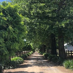 Oak Lane Guest House & Farm Stay Whorouly Exterior photo