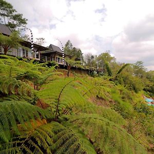 The Bejalin Eco Retreat Hotel Plaga Exterior photo