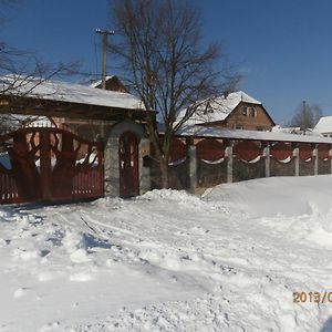 Karpatskiy Domyk Izki Exterior photo