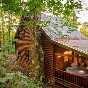 Breathless Cabin W Private Hot Tub Villa Stephens Gap Exterior photo