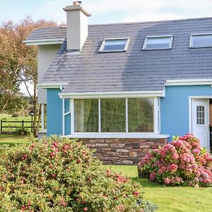 The Blue Annex Villa Tralee Exterior photo