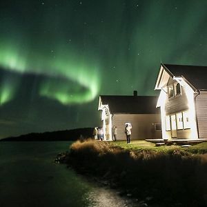 Senja Arctic Lodge Stonglandseidet Exterior photo