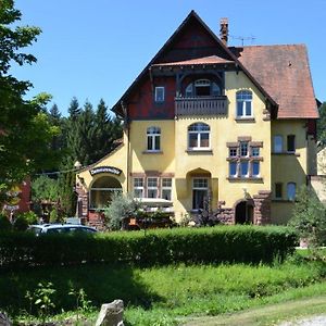 Hotel Dammenmuhle Lahr  Exterior photo