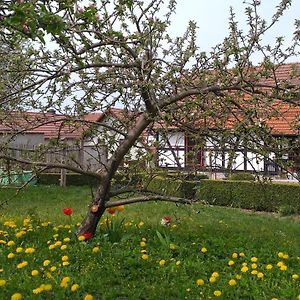 Pension Topferhof Bad Berka Exterior photo