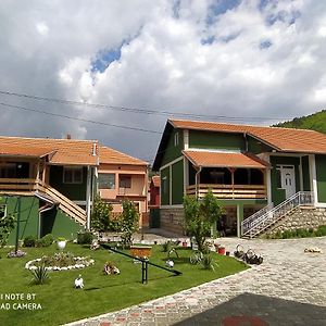 Guest House Vila Banjica Pirot Exterior photo