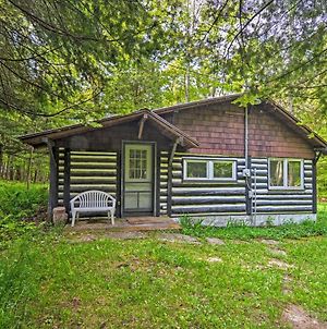 Secluded Family Cabin Less Than 1 Mi To Lake Michigan! Harbor Springs Exterior photo