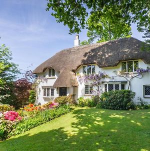 Forest Drove Cottage - Idyllic New Forest 6 Bedroom Thatched Cottage Ringwood Exterior photo