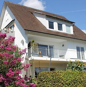 Haus Amann Apartment Wasserburg am Bodensee Exterior photo