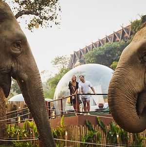Anantara Golden Triangle Elephant Camp & Resort Chiang Rai Exterior photo