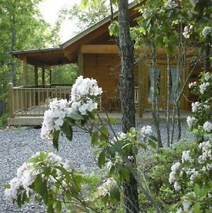 Romantic Laurel Wood Home With Private Hot Tub Tellico Plains Exterior photo