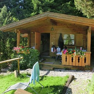 Detached Log Cabin In Bavaria With Covered Terrace Steingaden Exterior photo