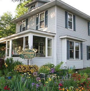 Serendipity Bed And Breakfast Saugatuck Exterior photo