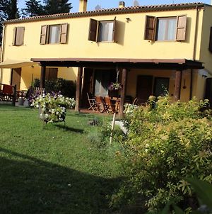Il Gelso Nero Bed & Breakfast Ancona Exterior photo