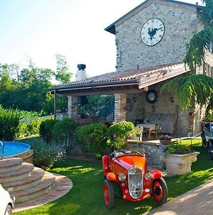 Gallo Delle Pille Country House Bed & Breakfast Monzambano Exterior photo