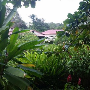 Los Susurros. Casa Bed & Breakfast Palenque Exterior photo