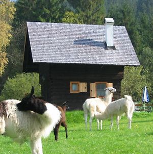 Hutte Zum Verlieben Villa Gurk Exterior photo