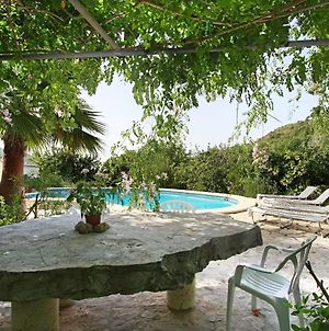 Cozy House Surrounded By Forest With Private Pool 7 Km From The Sea Villa Alcudia  Exterior photo
