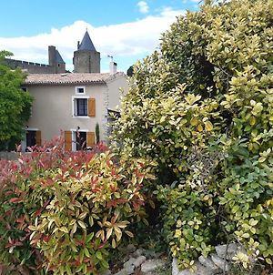 Domaine Fontgrande Gite Carcassonne Exterior photo