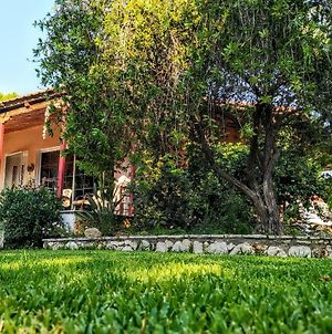 The Paradise Of Katerina Villa Lefkada Island Exterior photo