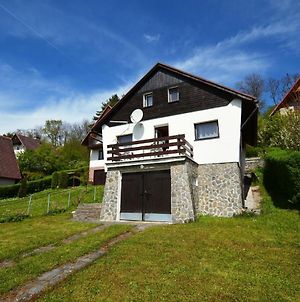 Detached Cottage With Fireplace, Only 80 Meters From The River Ohre Radonice nad Ohri Exterior photo