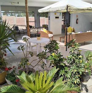Icthus Paracas Hostel Exterior photo