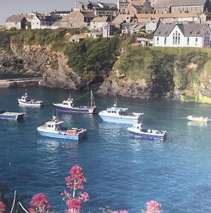 Bay House Lundy Port Isaac Apartment With Sea Views Exterior photo