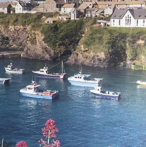 Bay House Lobber Port Isaac Apartment With Sea Views Exterior photo
