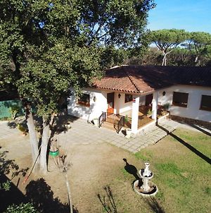 Casa En Parque Natural Del Montseny. Villa Santa Maria de Palautordera Exterior photo