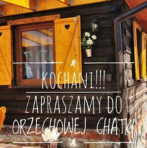 Sielanowek - Orzechowa Chatka Z Sauna Wanna Termalna Jacuzzi Apartment Zywiec Exterior photo