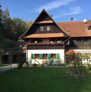 Ferienwohnung Christel Wasserburg am Bodensee Exterior photo