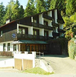 Ferienhaus Pflug Villa Triberg im Schwarzwald Exterior photo