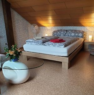 Sonnige Ruhige Dachzimmer Inkl Wifi Plus Kaffee Mit Wg Dusche Und Neuer Kuche Lorrach Exterior photo